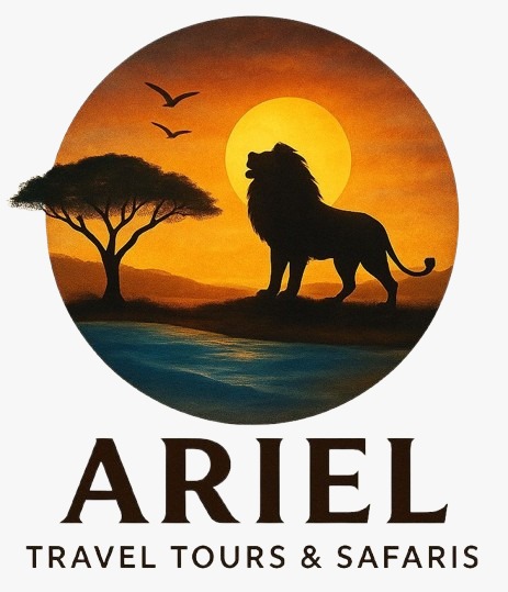 admin@arieltours.co.ke